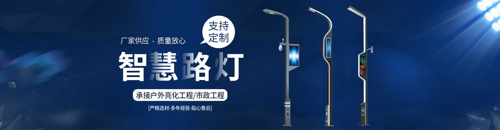 衡阳市太阳能路灯定制厂家