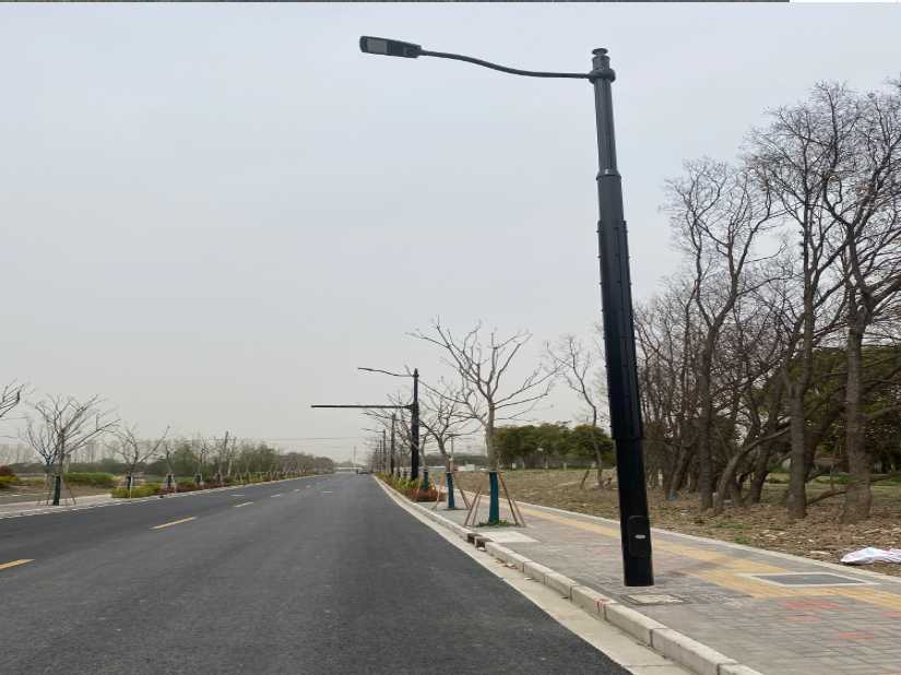 衡阳市上海综合杆 太阳能路灯工程